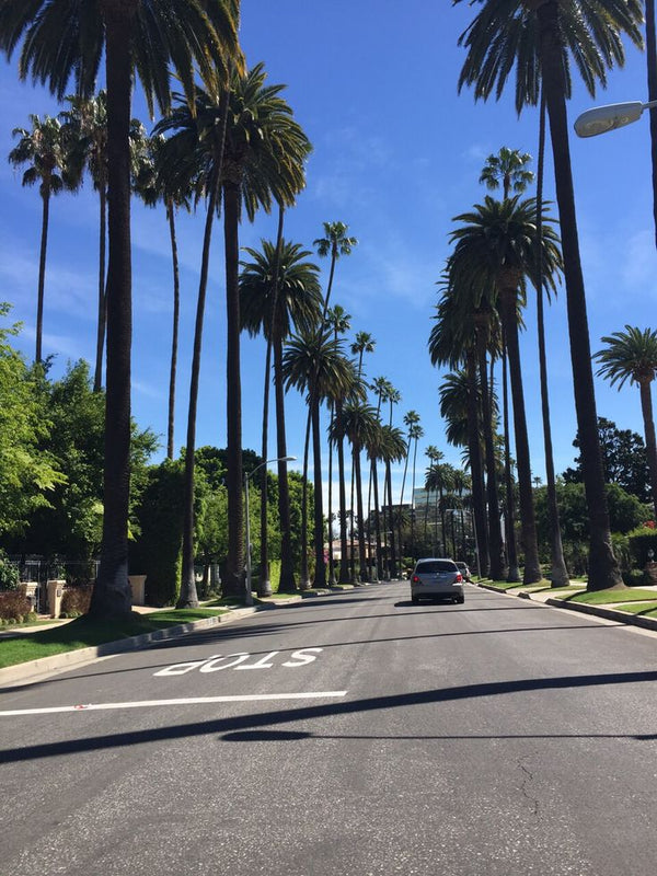RDT Local Guide | Los Angeles