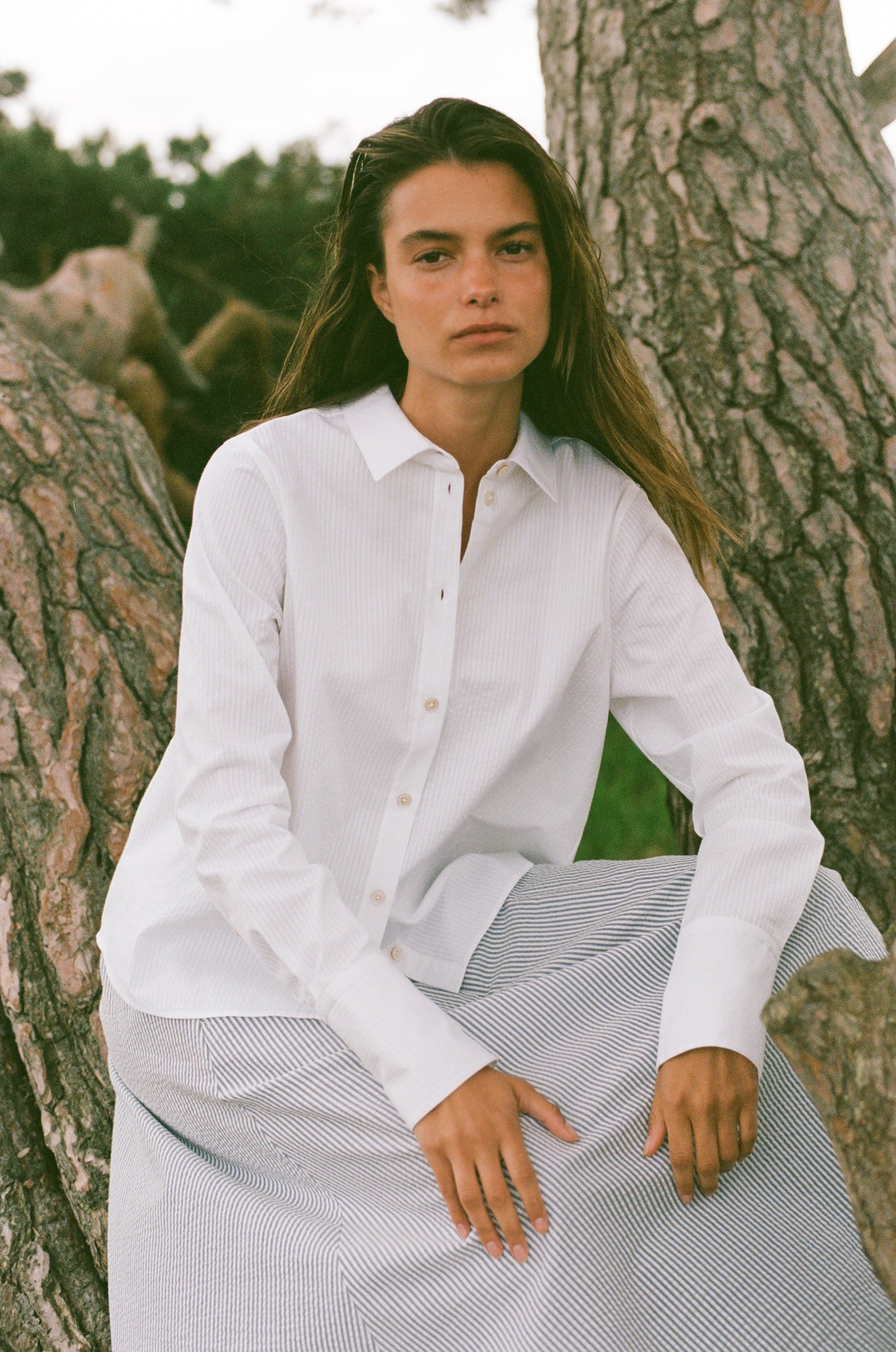 Rue de Tokyo SYLINA LIGHT SEERSUCKER STR Shirts WHITE